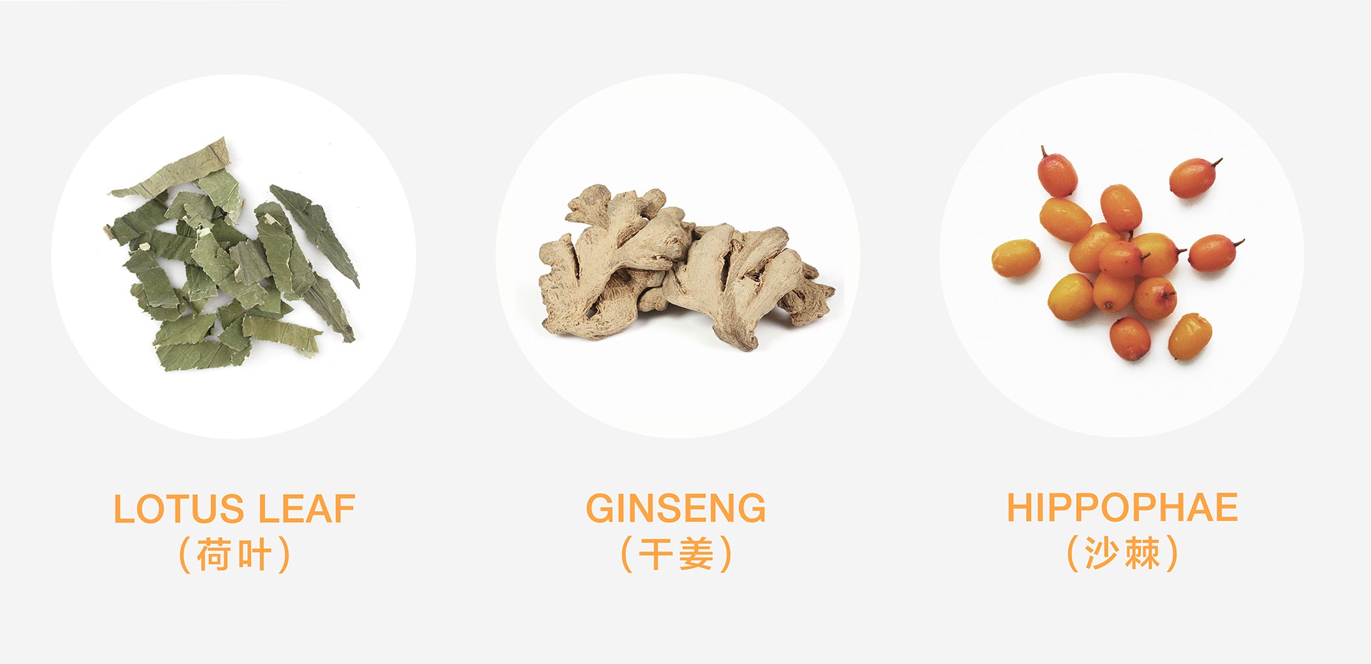 保健品包裝設(shè)計